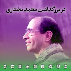 در بزرگداشت محمد مختاری