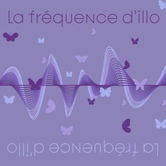 La fréquence d'Illo - bilan de mes six mois à la radio
