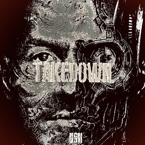 USH -TAKEDOWN ( MØTASH edit ).m4a