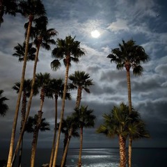 احاول اخفي احساسي ..