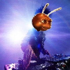 Ant Party!