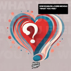 Dom Scanlon x Chris Nichols - What You Feel