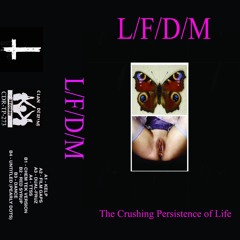 LFDM - KELP