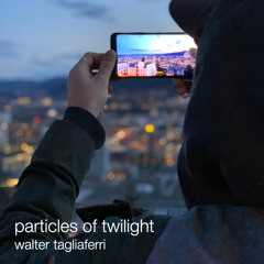 particles of twilight