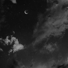 XO1, Sayfalse - SHANE