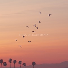 birds.of.califarnia