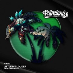Little Bit Louder (Extended Mix) [Palmlands Records]