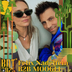 Felix Nadelfein B2B MOOGLI
