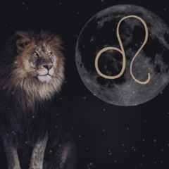 MIserez // Ceremoony @ Folklor, Lausanne, Switzerland, 19.08.20