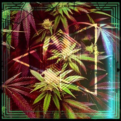 DeZert Blood Dub version