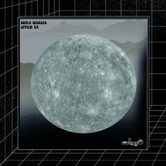 Shinji Wakasa - Affair 54