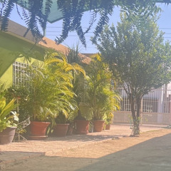 let me know when you're ready