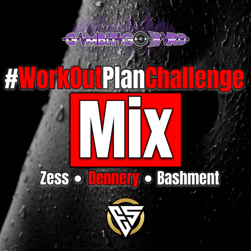 #WorkOutPlanChallenge 🚨‼️