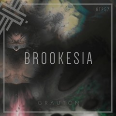Grauton #057 | Brookesia