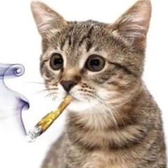 evenaftereverythingistillthinkyouresocute