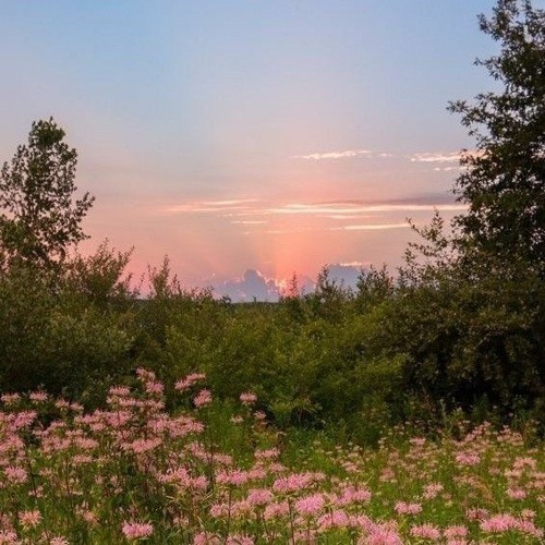Я щаслива(не має сил)