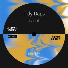PREMIERE: Tidy Daps - Call It [House Cookin' Records]