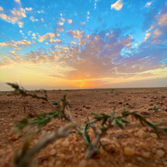 ‏‎⁨الطبلاوي ورائعة سورة الحشر (هُوَ اللَّهُ ..) | #قران#quran