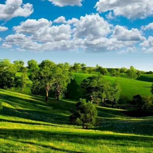 81 media background ​​👯‍ FREE DOWNLOAD