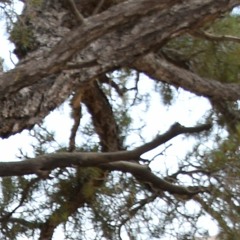 GLOW (Leave a Light Glowing)