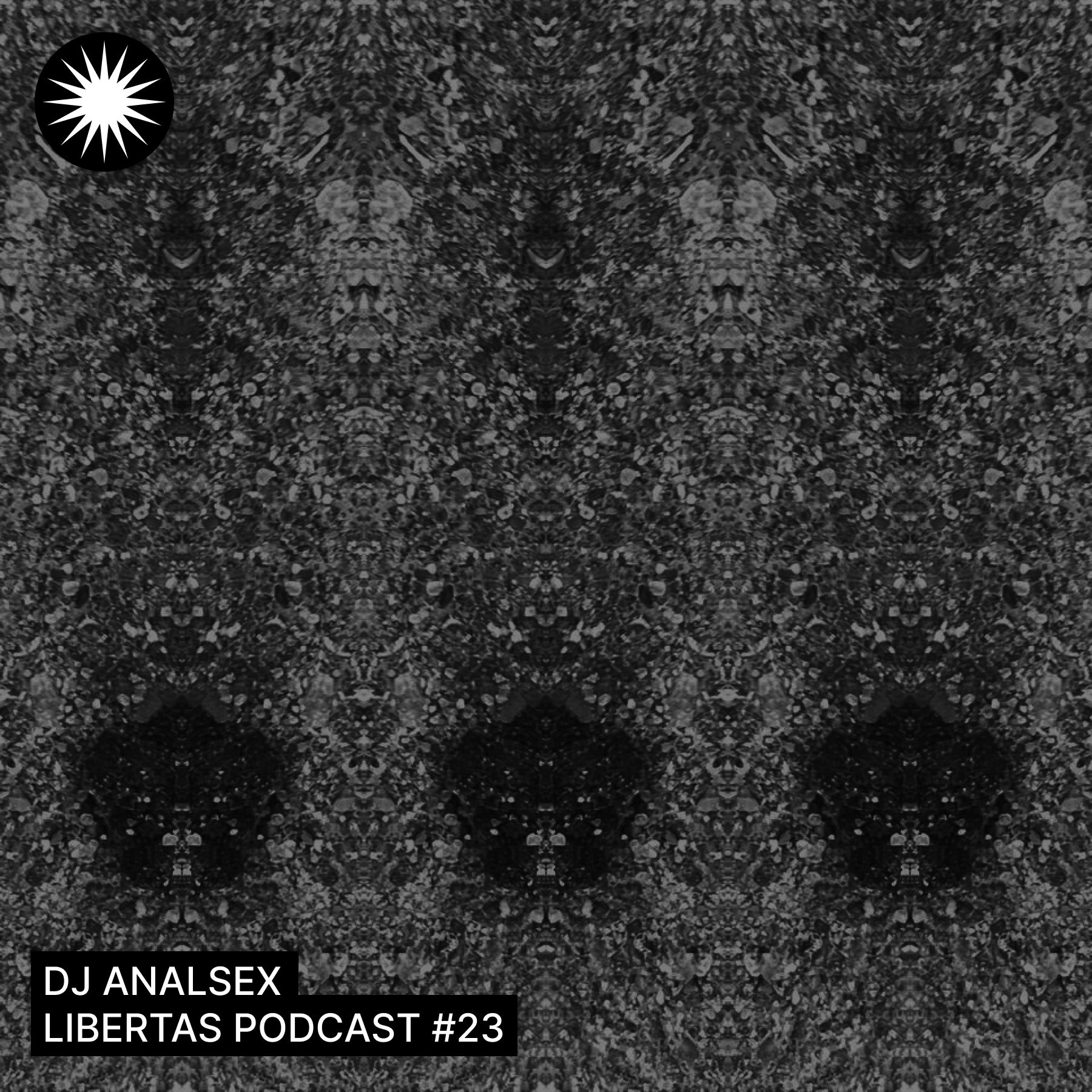 Aflaai LIBERTAS PODCAST #23 | DJ ANALSEX
