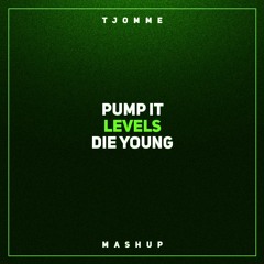 Pump It vs Levels vs Die Young (tjomme mashup)