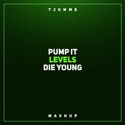 Pump It vs Levels vs Die Young (tjomme mashup)