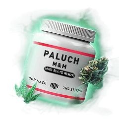 Paluch - M&M (Remix NWR Beatz)