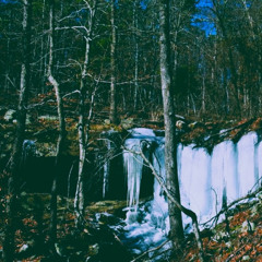 I Dream of My Own Funeral