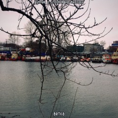 шумные и угрожающие выходки - Ветка (Tape Mix)