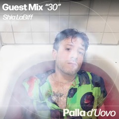PDU Guest Mix 30 - Shia LaBiff