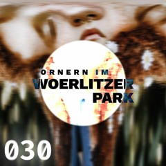 030 Cornern im Woerlitzer Park | Herbert Marcusio