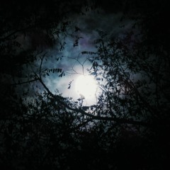 Selene | FREE DOWNLOAD | Short Sketch