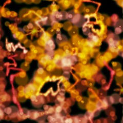 STARPERMEABLE thirteen