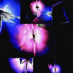 The Least You Could Have Done