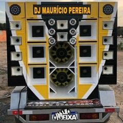 MEGA FUNK NÃO É BONITO MAS A VIDA É ASSIM - MC MAGRINHO PANCADAO AUTOMOTIVO DJ MAURICIO PEREIRA