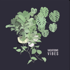 home (slowed) - vacations