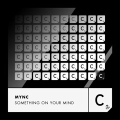 Something On Your Mind (Radio Edit) [feat. Abigail Bailey]