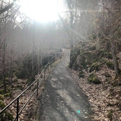Pathways