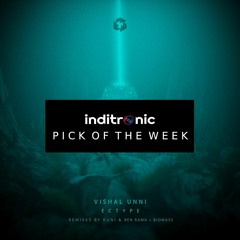 PICK OF THE WEEK 011 : VISHAL UNNI - Ectype (Techgnosis Records)