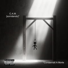 C.A.M. [sorridendo]