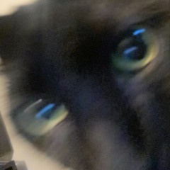 shell shocked (cxrter x michael harrison)