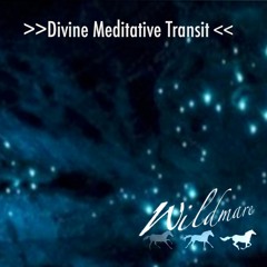 Divine Meditative Transit