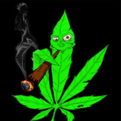 cannabis *perc40*