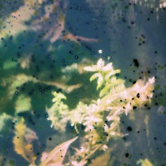 downward dog into dreamland