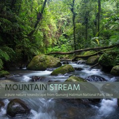 'Mountain Stream' - Album Sample - recorded in Gunung Halimun National Park, Java