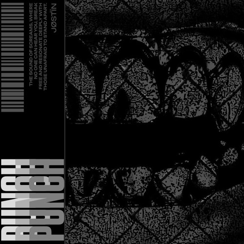 PUNCH (VEIL OF MALICE RECS)