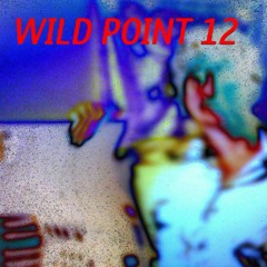 Outsiders: Wild Point, Pacific City 12 | Sharkflys @ Kiosk Radio 07.03.2024