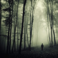 Into The Labyrinth