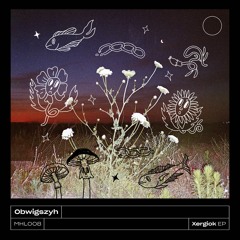[PREMIERE] Obwigszyh - Core